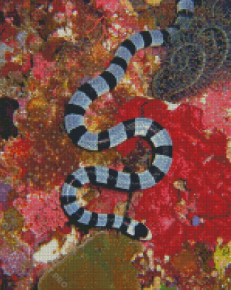 Malayan Krait Snake Diamond Painting