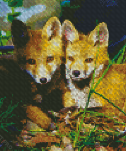 Red Foxes Diamond Painting