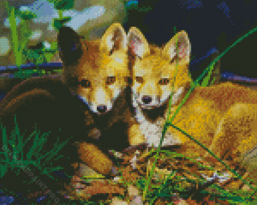 Red Foxes Diamond Painting