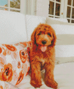Red Golden Doodle Dog Diamond Painting