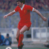 Steve Heighway Football Player Diamond Painting