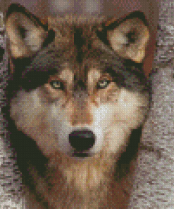 The Wolf Among Birches Diamond Painting