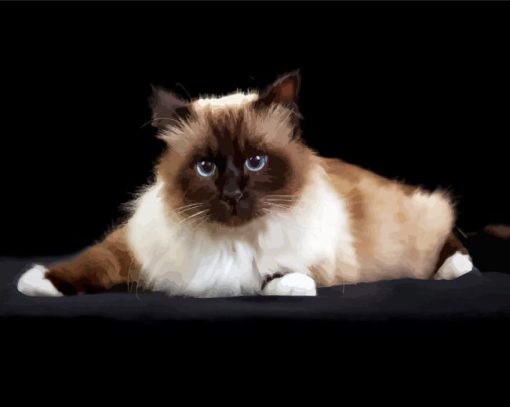 Aesthetic Birman Diamond Painting