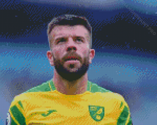 Aesthetic Grant Hanley Diamond Painting