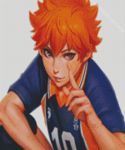 Aesthetic Hinata Shoyo Diamond Painting