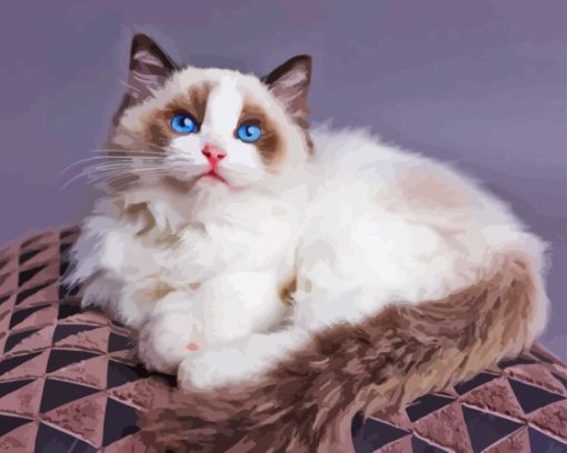 Aesthetic Ragdoll Cat Diamond Painting