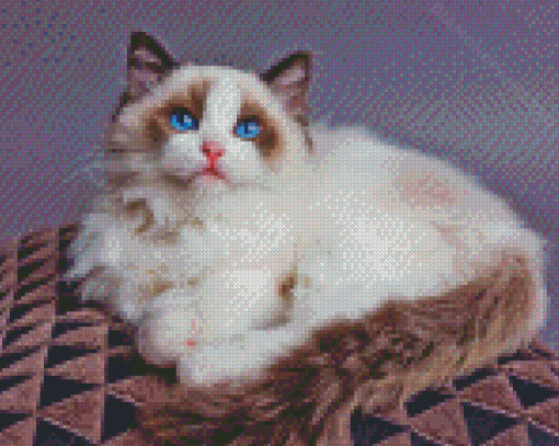 Aesthetic Ragdoll Cat Diamond Painting