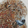Curly Sheep Diamond Painting