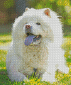 Fluffy White Dog Diamond Painting