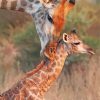 Aesthetic Mother Giraffe Diamond Painting