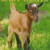 Baby Goat Poster Diamond Painting