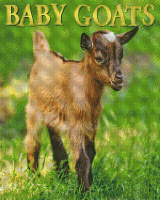 Baby Goat Poster Diamond Painting