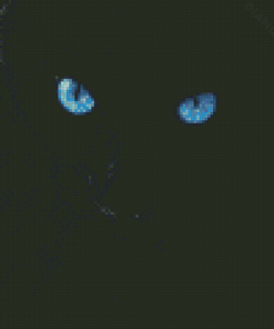 Black Cat With Blue Eyes Diamond Painting