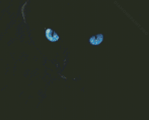 Black Cat With Blue Eyes Diamond Painting