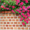 Bricks With Pink Flowers Diamond Painting