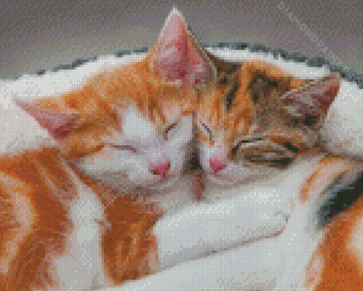 Cute Cuddly Kittens Animals Diamond Painting