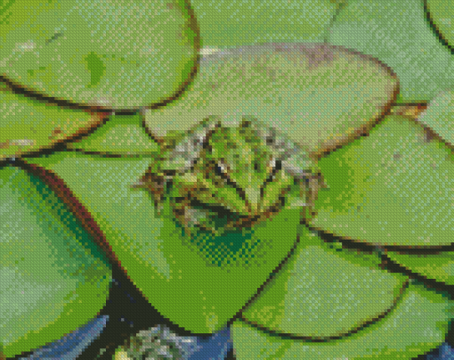 Frog On Lily Pad Plants Diamond Painting
