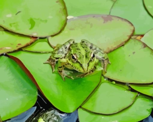 Frog On Lily Pad Plants Diamond Painting