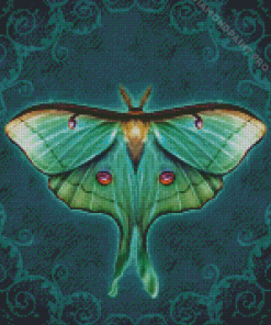 Green Luna Moth Art Diamond Painting