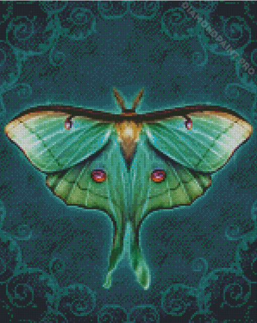 Green Luna Moth Art Diamond Painting
