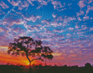 Kruger Park Sunset Tree Silhouette Diamond Painting