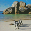 Penguins On The Beach Diamond Painting