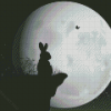 Rabbit And The Moon Diamond Painting
