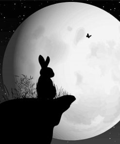 Rabbit And The Moon Diamond Painting