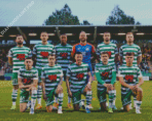 Shamrock Rovers Footballers Diamond Painting