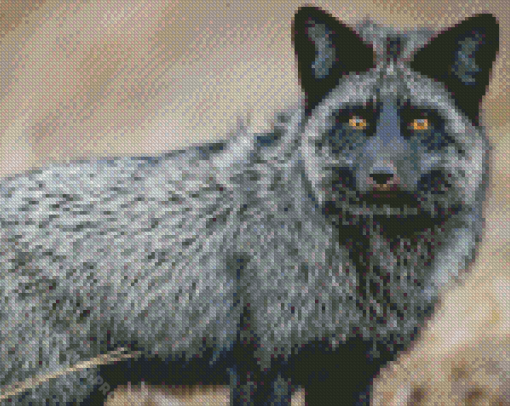 Silver Fox Animal Diamond Painting