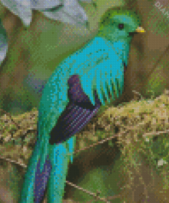 The Quetzal Diamond Painting