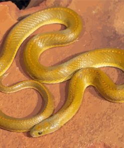 Yellow Snake Diamond Painting