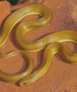 Yellow Snake Diamond Painting