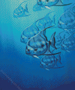 Aesthetic Atlantic Spadefish Diamond Painting