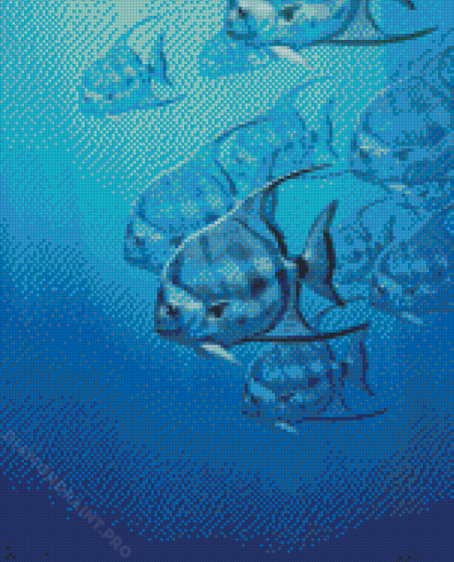 Aesthetic Atlantic Spadefish Diamond Painting