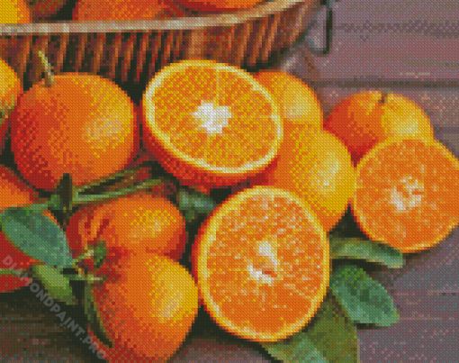 Aesthetic Citrus Orange Diamond Painting