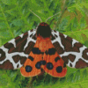 Aesthetic Tiger Moth Diamond Painting