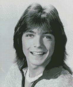 Black And White Young David Cassidy Diamond Painting