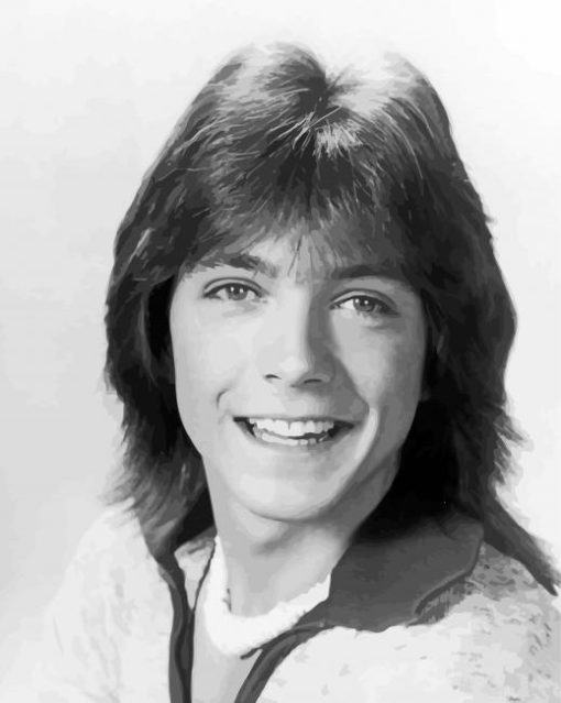 Black And White Young David Cassidy Diamond Painting
