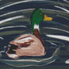 Cool Wild Duck Diamond Painting