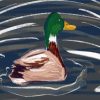 Cool Wild Duck Diamond Painting