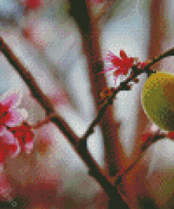 Peach Blossoms Diamond Painting