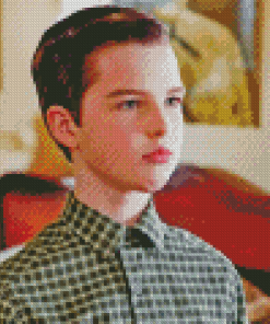 Young Sheldon Diamond Painting