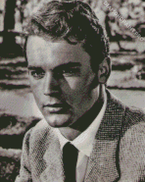 Black And White Young Terence Hill Wtih Diamond Painting
