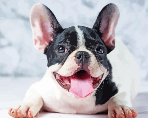 Black And White French Bulldog Smiling Diamond Painting