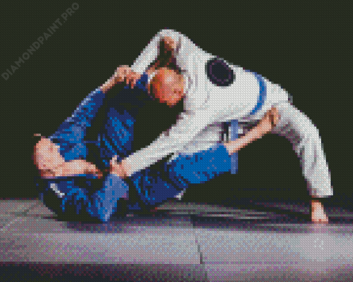 Brazilian Jiu Jitsu Diamond Painting