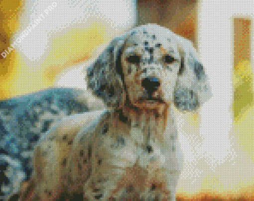English Setter Puppy Diamond Painting