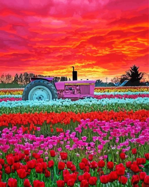 Pink Tractor In Flowers Field At Sunset Diamond Painting