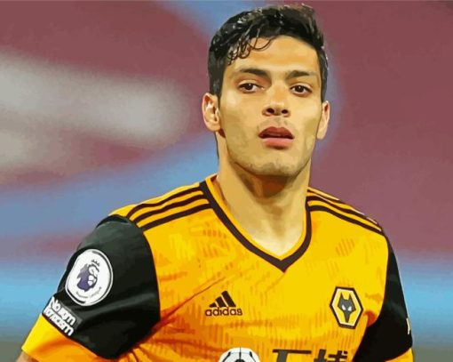 Raul Jimenez Diamond Painting