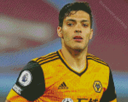 Raul Jimenez Diamond Painting